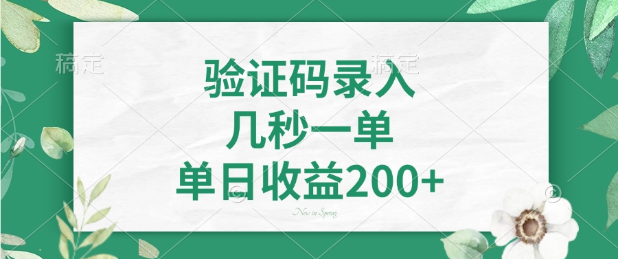 验证码录入，几秒一单，单日收益200+安创网-网创项目资源站-副业项目-创业项目-搞钱项目安创网