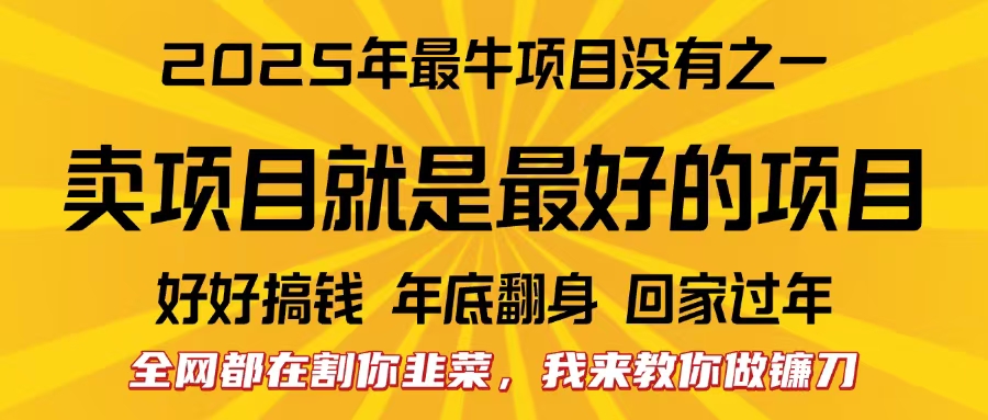 全网都在割你韭菜，我来教你做镰刀。卖项目就是最好的项目，2025年最牛互联网项目安创网-网创项目资源站-副业项目-创业项目-搞钱项目安创网