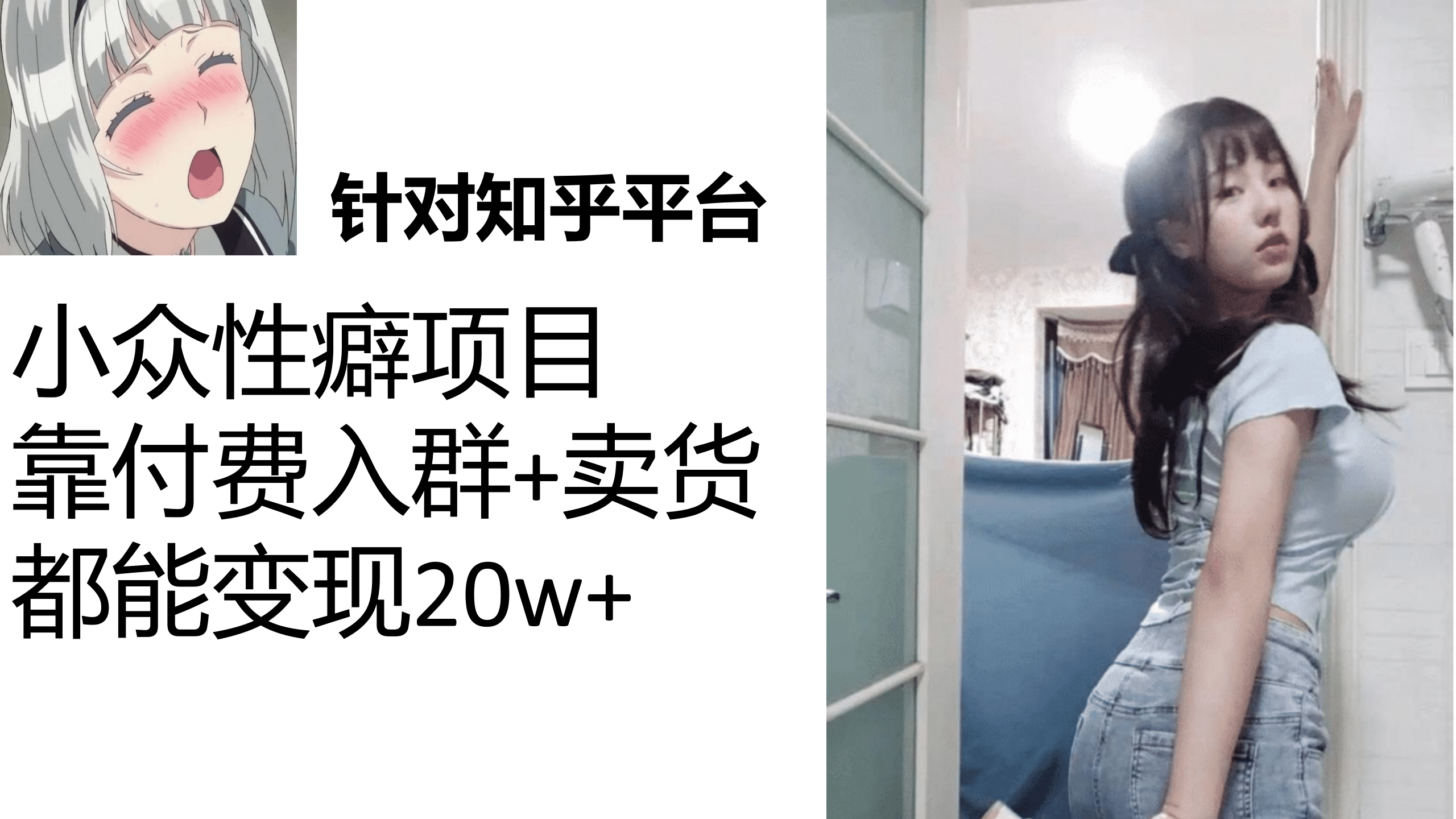 知乎小众性癖项目，Lsp的钱才是最好赚的，付费建群+卖货变现20w安创网-网创项目资源站-副业项目-创业项目-搞钱项目安创网