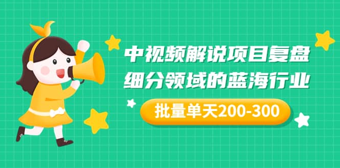 某付费文章：中视频解说项目复盘：细分领域的蓝海行业 批量单天200-300收益安创网-网创项目资源站-副业项目-创业项目-搞钱项目安创网