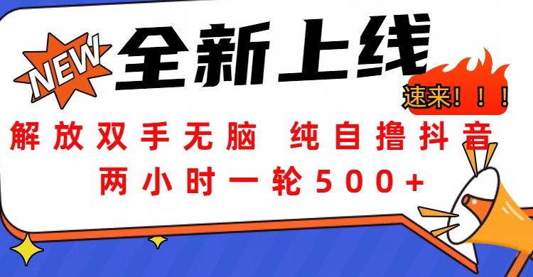解放双手无脑 纯自撸抖音 两小时一轮500+安创网-网创项目资源站-副业项目-创业项目-搞钱项目安创网