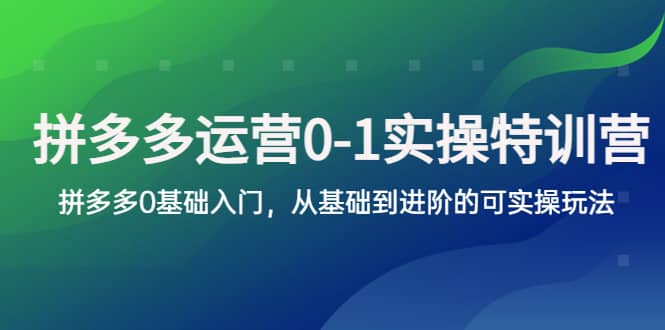 拼多多-运营0-1实操训练营，拼多多0基础入门，从基础到进阶的可实操玩法安创网-网创项目资源站-副业项目-创业项目-搞钱项目安创网