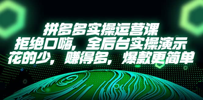 拼多多实操运营课：拒绝口嗨，全后台实操演示，花的少，赚得多，爆款更简单安创网-网创项目资源站-副业项目-创业项目-搞钱项目安创网