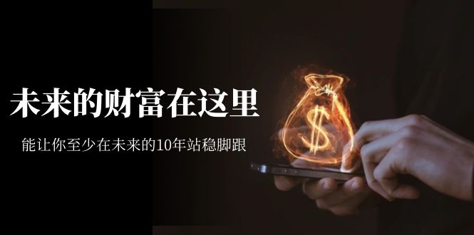 某收费文章《未来的财富在这里》能让你至少在未来的10年站稳脚跟安创网-网创项目资源站-副业项目-创业项目-搞钱项目安创网