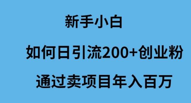 新手小白如何日引流200+创业粉通过卖项目年入百万安创网-网创项目资源站-副业项目-创业项目-搞钱项目安创网