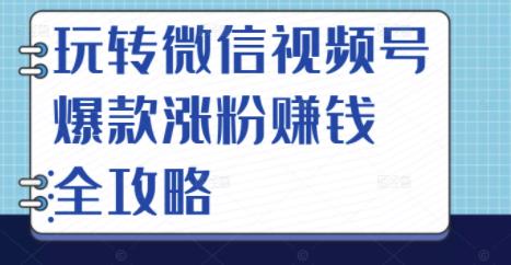 玩转微信视频号爆款涨粉赚钱全攻略，让你快速抓住流量风口，收获红利财富安创网-网创项目资源站-副业项目-创业项目-搞钱项目安创网