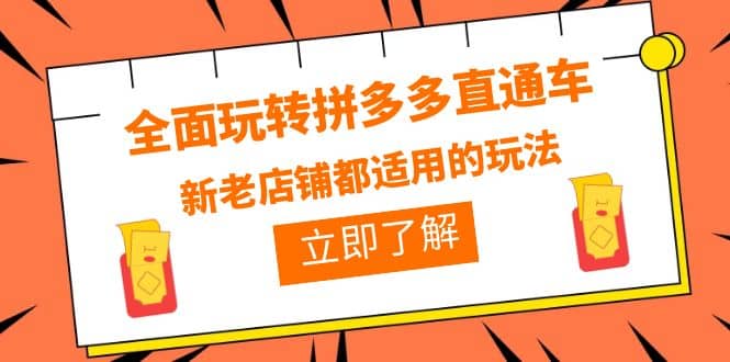 全面玩转拼多多直通车，新老店铺都适用的玩法（12节精华课）安创网-网创项目资源站-副业项目-创业项目-搞钱项目安创网