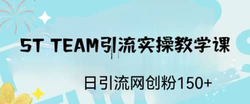 ST TEAM引流实操课，日引流网创粉100+安创网-网创项目资源站-副业项目-创业项目-搞钱项目安创网