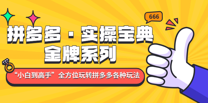 拼多多·实操宝典：金牌系列“小白到高手”带你全方位玩转拼多多各种玩法安创网-网创项目资源站-副业项目-创业项目-搞钱项目安创网
