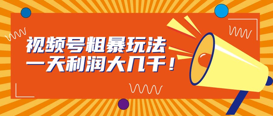 视频号粗暴玩法，一天利润大几千安创网-网创项目资源站-副业项目-创业项目-搞钱项目安创网
