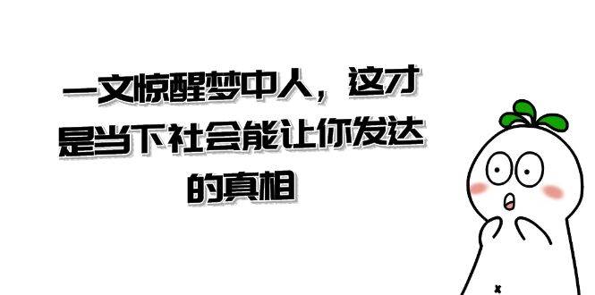 某公众号付费文章《一文 惊醒梦中人，这才是当下社会能让你发达的真相》安创网-网创项目资源站-副业项目-创业项目-搞钱项目安创网
