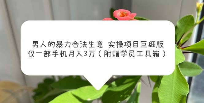 男人的暴力合法生意实操项目巨细版：仅一部手机月入3w（附赠学员工具箱）安创网-网创项目资源站-副业项目-创业项目-搞钱项目安创网