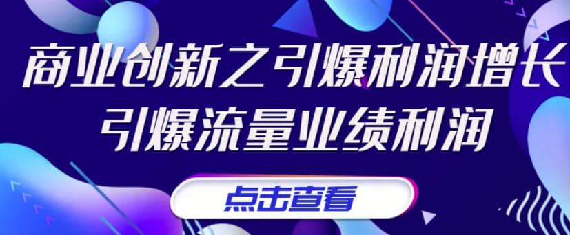 《商业创新之引爆利润增长》引爆流量业绩利润安创网-网创项目资源站-副业项目-创业项目-搞钱项目安创网