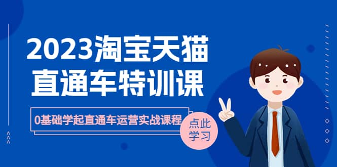 2023淘宝·天猫直通车评特训课，0基础学起直通车运营实战课程（8节课时）安创网-网创项目资源站-副业项目-创业项目-搞钱项目安创网