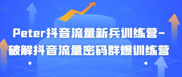 Peter抖音流量新兵训练营-破解抖音流量密码群爆训练营（新兵）安创网-网创项目资源站-副业项目-创业项目-搞钱项目安创网