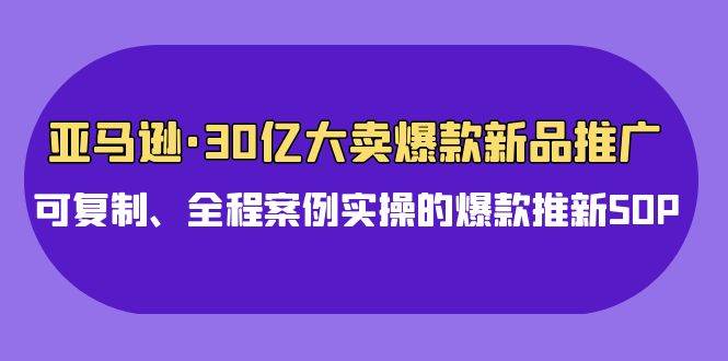 亚马逊30亿·大卖爆款新品推广，可复制、全程案例实操的爆款推新SOP安创网-网创项目资源站-副业项目-创业项目-搞钱项目安创网