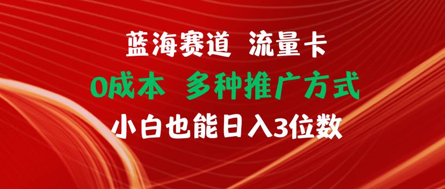 蓝海赛道 流量卡 0成本 小白也能日入三位数安创网-网创项目资源站-副业项目-创业项目-搞钱项目安创网