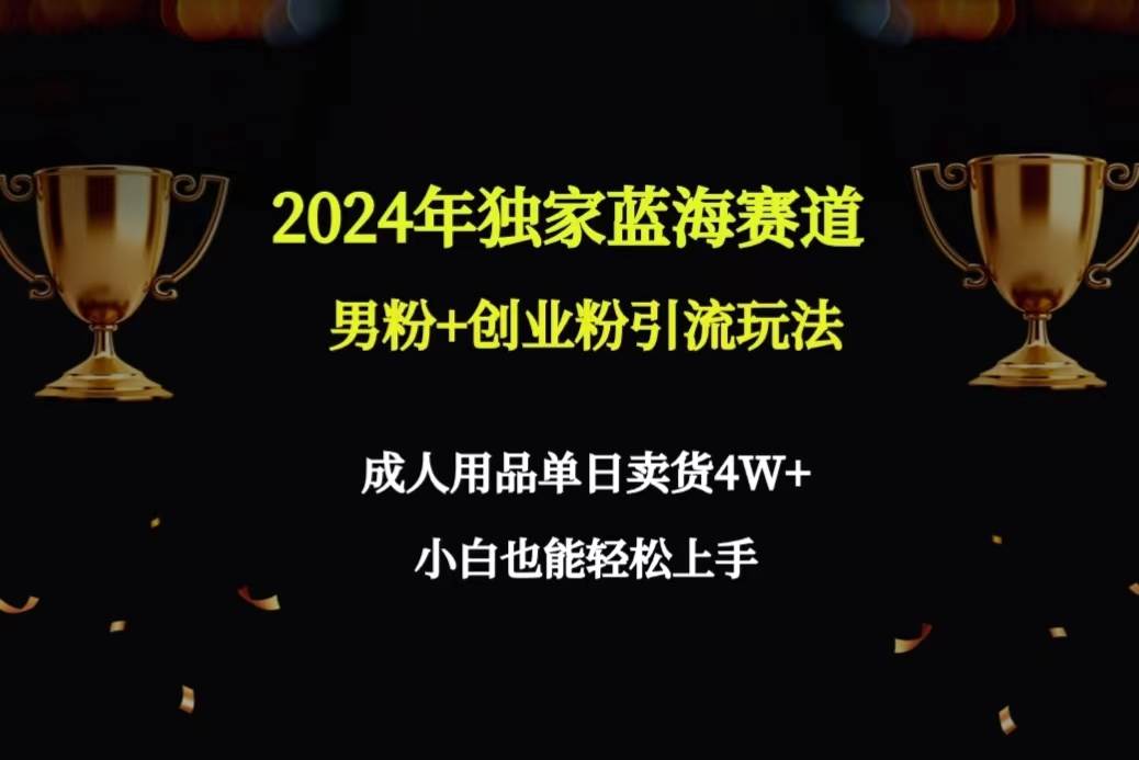 2024年独家蓝海赛道男粉+创业粉引流玩法，成人用品单日卖货4W+保姆教程安创网-网创项目资源站-副业项目-创业项目-搞钱项目安创网