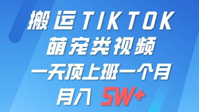 一键搬运TIKTOK萌宠类视频 一部手机即可操作 所有平台均可发布 轻松月入5W+安创网-网创项目资源站-副业项目-创业项目-搞钱项目安创网
