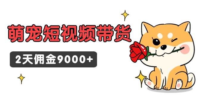 东哲日记·萌宠短视频带货，2天佣金9000+安创网-网创项目资源站-副业项目-创业项目-搞钱项目安创网