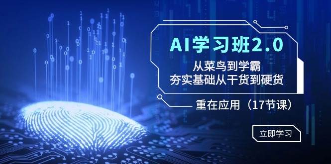 AI学习班2.0：从菜鸟到学霸，夯实基础从干货到硬货，重在应用（17节课）安创网-网创项目资源站-副业项目-创业项目-搞钱项目安创网