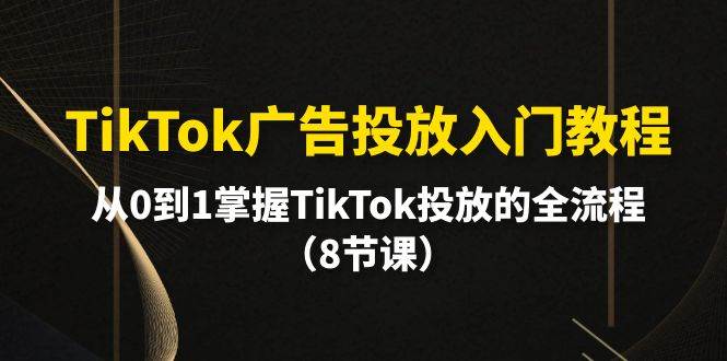 TikTok广告投放入门教程，从0到1掌握TikTok投放的全流程（8节课）安创网-网创项目资源站-副业项目-创业项目-搞钱项目安创网
