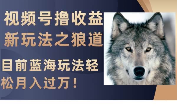 视频号撸收益新玩法之狼道，目前蓝海玩法轻松月入过万！安创网-网创项目资源站-副业项目-创业项目-搞钱项目安创网