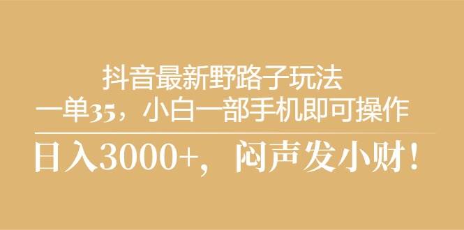 抖音最新野路子玩法，一单35，小白一部手机即可操作，，日入3000+，闷…安创网-网创项目资源站-副业项目-创业项目-搞钱项目安创网