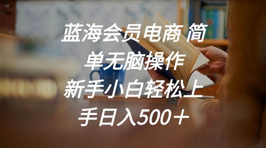 蓝海会员电商 简单无脑操作 新手小白轻松上手日入500＋安创网-网创项目资源站-副业项目-创业项目-搞钱项目安创网