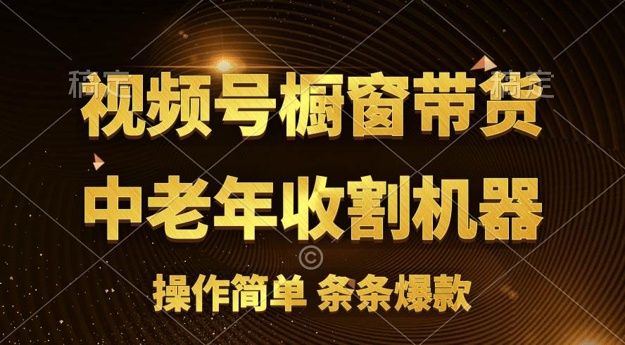 [你的孩子成功取得高位]视频号最火爆赛道，橱窗带货，流量分成计划，条…安创网-网创项目资源站-副业项目-创业项目-搞钱项目安创网