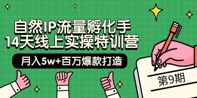 自然IP流量孵化手 14天线上实操特训营【第9期】月入5w+百万爆款打造 (74节)安创网-网创项目资源站-副业项目-创业项目-搞钱项目安创网