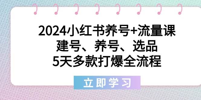 2024小红书养号+流量课：建号、养号、选品，5天多款打爆全流程安创网-网创项目资源站-副业项目-创业项目-搞钱项目安创网