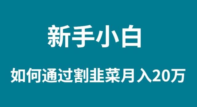 新手小白如何通过割韭菜月入 20W安创网-网创项目资源站-副业项目-创业项目-搞钱项目安创网