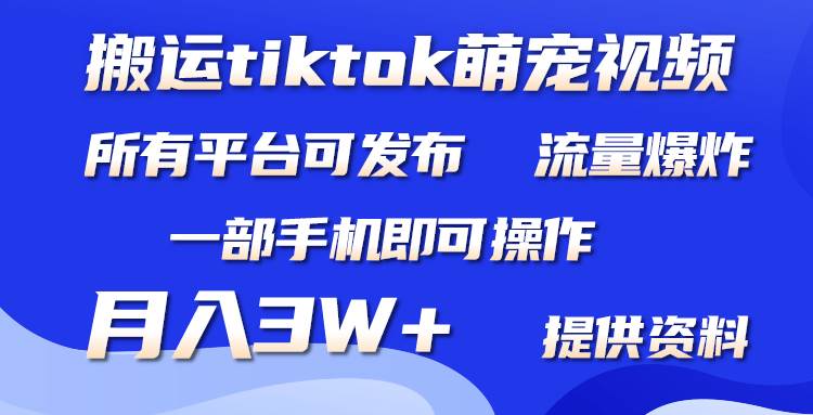搬运Tiktok萌宠类视频，一部手机即可。所有短视频平台均可操作，月入3W+安创网-网创项目资源站-副业项目-创业项目-搞钱项目安创网