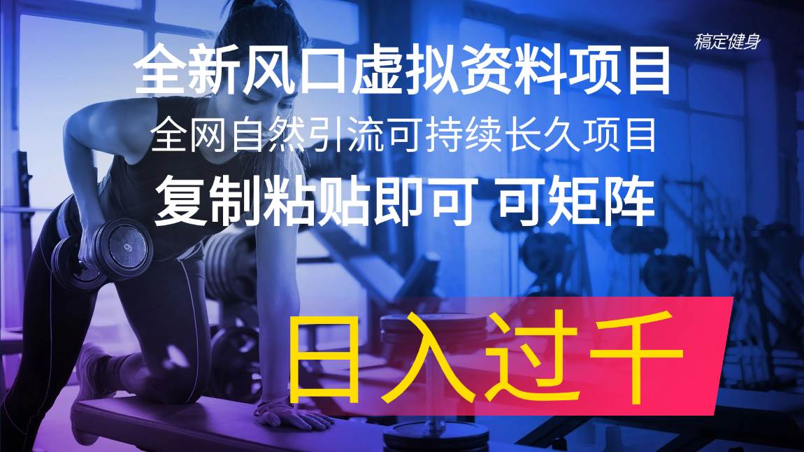 全新风口虚拟资料项目 全网自然引流可持续长久项目 复制粘贴即可可矩阵…安创网-网创项目资源站-副业项目-创业项目-搞钱项目安创网