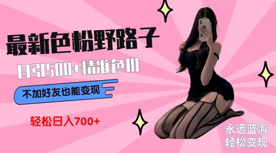 最新色粉变现野路子，日引500+老色批 可不加好友直接变现 小白轻松日入700+安创网-网创项目资源站-副业项目-创业项目-搞钱项目安创网