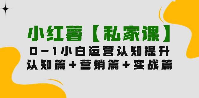 小红薯【私家课】0-1玩赚小红书内容营销，认知篇+营销篇+实战篇（11节课）安创网-网创项目资源站-副业项目-创业项目-搞钱项目安创网