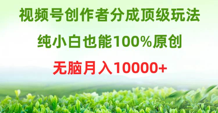 视频号创作者分成顶级玩法，纯小白也能100%原创，无脑月入10000+安创网-网创项目资源站-副业项目-创业项目-搞钱项目安创网