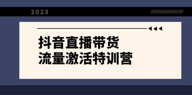 抖音直播带货-流量激活特训营，入行新手小白主播必学（21节课+资料）安创网-网创项目资源站-副业项目-创业项目-搞钱项目安创网