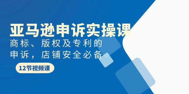 亚马逊-申诉实战课，商标、版权及专利的申诉，店铺安全必备安创网-网创项目资源站-副业项目-创业项目-搞钱项目安创网