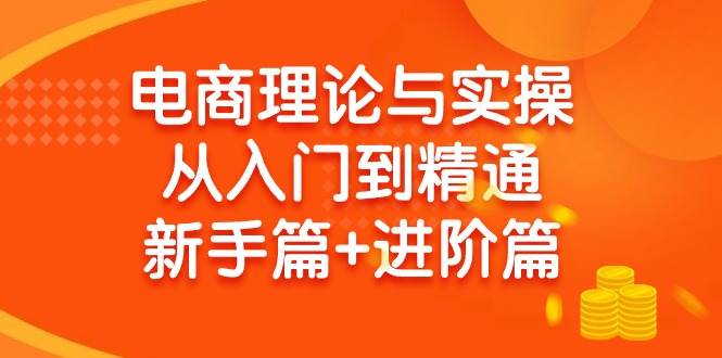 电商理论与实操从入门到精通 新手篇+进阶篇安创网-网创项目资源站-副业项目-创业项目-搞钱项目安创网