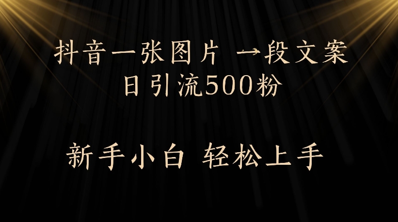 抖音一张图片，一段文案日引流500粉，新手小白 轻松上手安创网-网创项目资源站-副业项目-创业项目-搞钱项目安创网