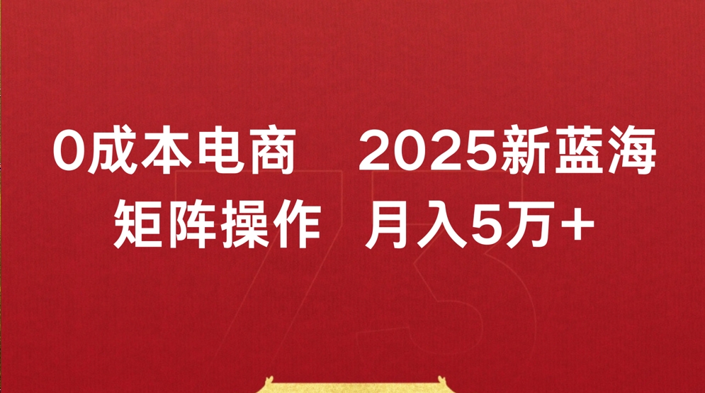 0成本电商2025新蓝海矩阵操作 月入5万+安创网-网创项目资源站-副业项目-创业项目-搞钱项目安创网