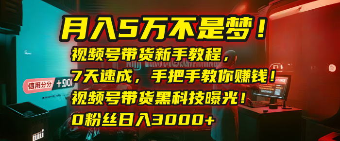 月入5万不是梦！视频号带货新手教程，7天速成，手把手教你赚钱！视频号带货黑科技曝光！0粉丝日入3000+安创网-网创项目资源站-副业项目-创业项目-搞钱项目安创网