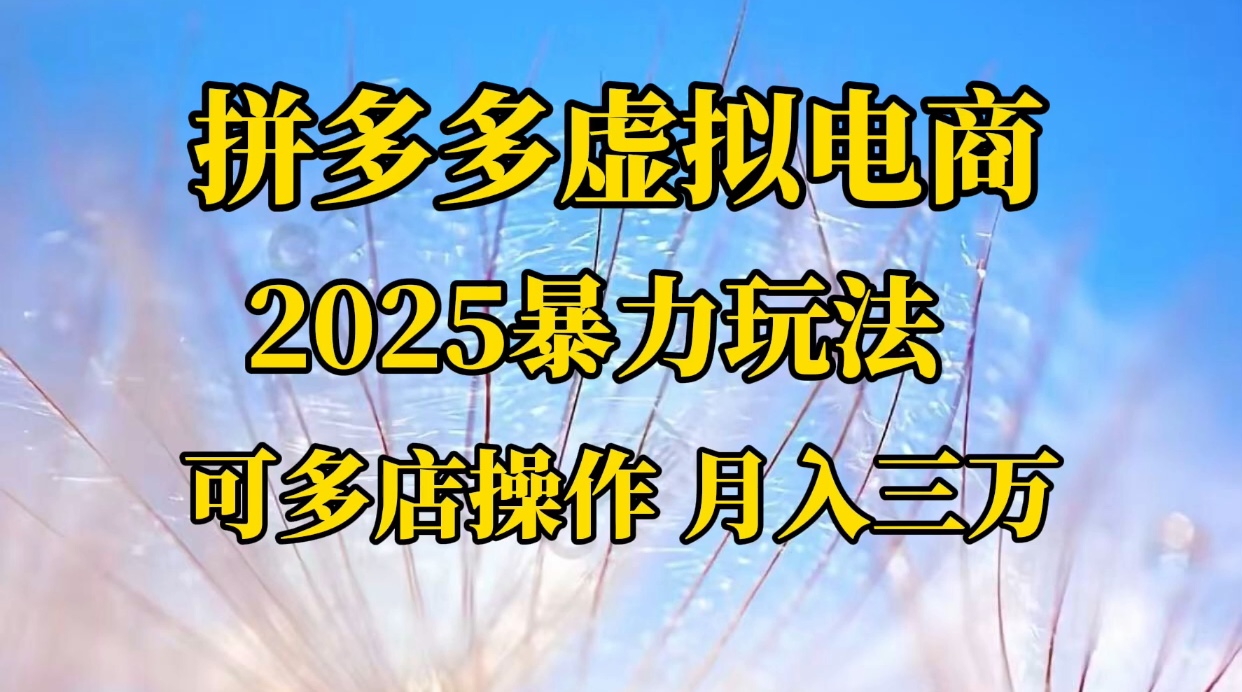 拼多多虚拟电商，不囤货不垫资的虚拟电商安创网-网创项目资源站-副业项目-创业项目-搞钱项目安创网