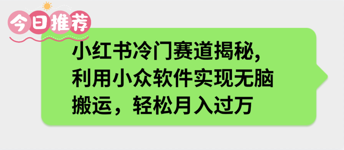 小红书冷门赛道揭秘,利用小众软件实现无脑搬运，轻松月入过万安创网-网创项目资源站-副业项目-创业项目-搞钱项目安创网