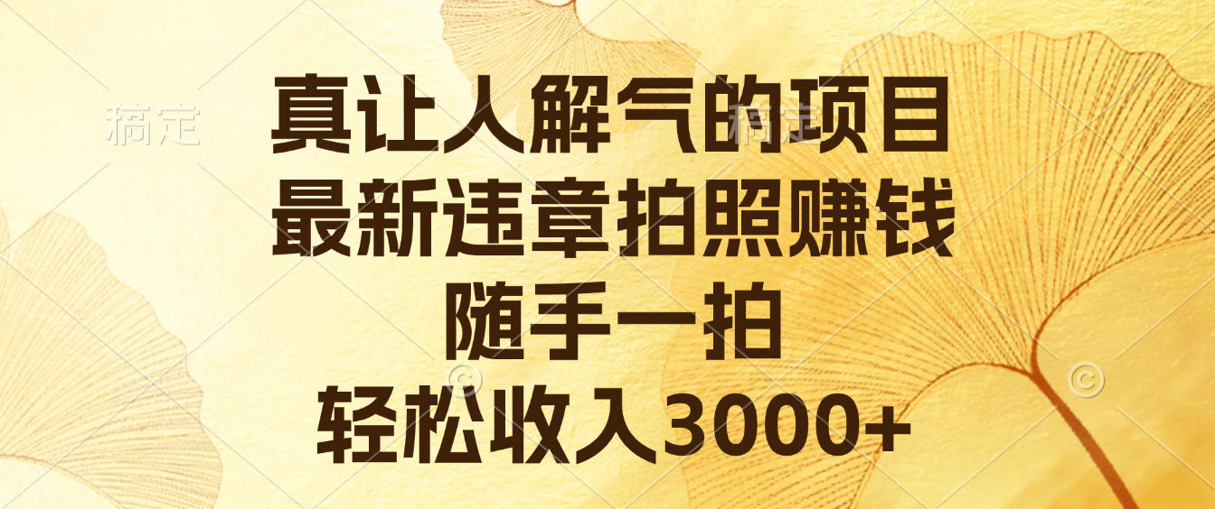 真让人解气的项目，最新违章拍照赚钱，随手一拍，轻松收入3000+安创网-网创项目资源站-副业项目-创业项目-搞钱项目安创网